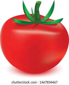 Vector illustration of red tomato isolated on white background