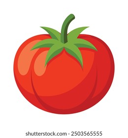 Vector illustration of a red tomato isolated on white , Tomato vector. Tomato on white background. Tomato vector in cartoon style