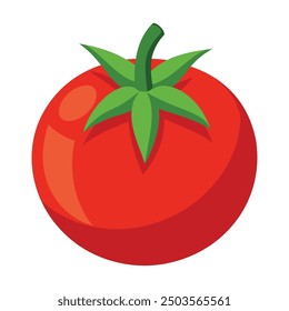 Vector illustration of a red tomato isolated on white , Tomato vector. Tomato on white background. Tomato vector in cartoon style