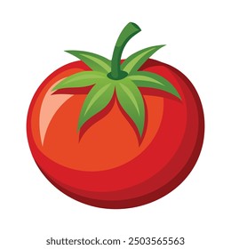 Vector illustration of a red tomato isolated on white , Tomato vector. Tomato on white background. Tomato vector in cartoon style