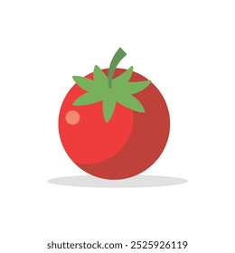 Vector illustration of a red tomato isolated on white , Tomato vector. Tomato on white background. Tomato vector in cartoon style