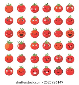 Vector illustration of a red tomato isolated on white , Tomato vector. Tomato on white background. Tomato vector in cartoon style