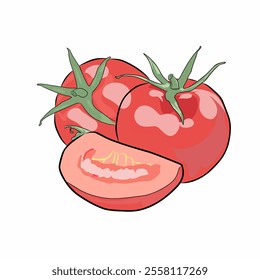 Vector illustration of a red tomato isolated on white , Tomato vector. Tomato on white background. Tomato vector in cartoon style