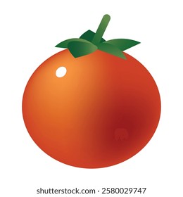 Vector illustration of a red tomato isolated on white , Tomato vector. Tomato on white background. Tomato vector in cartoon style.