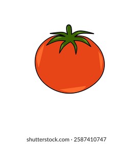 Vector illustration of a red tomato isolated on white , Tomato vector. Tomato on white background.