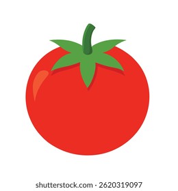 Vector illustration of a red tomato isolated on white background. Tomato vector in cartoon style