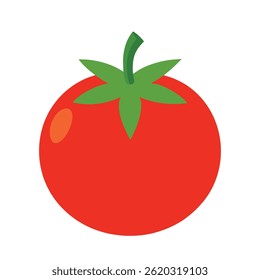 Vector illustration of a red tomato isolated on white background. Tomato vector in cartoon style
