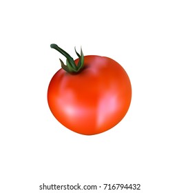 Vector illustration of  red tomato.  Isolated vegetable on white background.