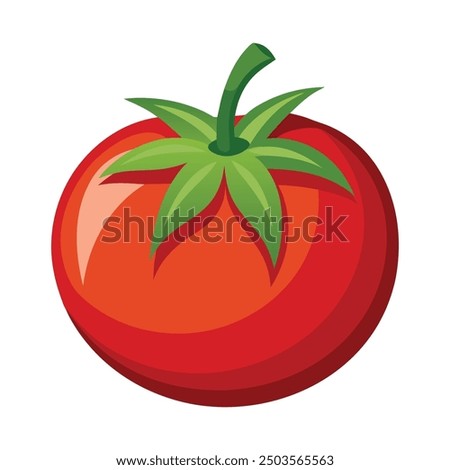 Vector illustration of a red tomato isolated on white , Tomato vector. Tomato on white background. Tomato vector in cartoon style