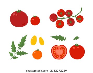 Vector illustration of a red tomato. A slice of tomato, red and yellow tomatoes, leaves. Cartoon vegetable set of elements isolated on a white background.