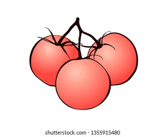 Vector illustration of red tomatoes with black stroke on white background.