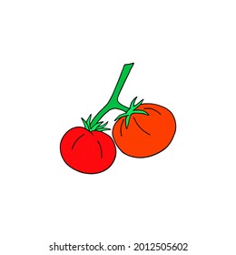 Ilustración vectorial con tomates rojos sobre fondo blanco.