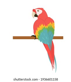 vector illustration of a red tropical macaw sitting on a branch. Isolated on a white background