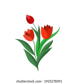 Vector illustration of red tulips