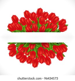 Vector illustration of red tulips.