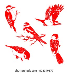 Vector illustration of red and white birds on white background. Contour of wild birds.