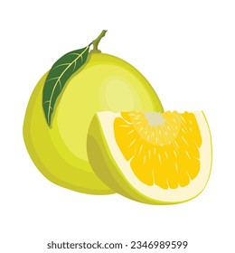 Vector illustration red and yellow pomelo in cartoon flat style. Grapefruit orange tropical whole and sliced isolated on white background, fresh food nature, agricultural tropical product