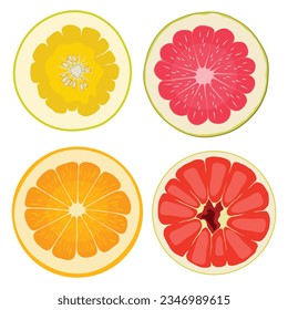 Vector illustration red and yellow pomelo in cartoon flat style. Grapefruit orange tropical whole and sliced isolated on white background, fresh food nature, agricultural tropical product
