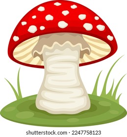 Vector illustration of a red-capped mushroom with a white stalk growing on a grassy green pad.