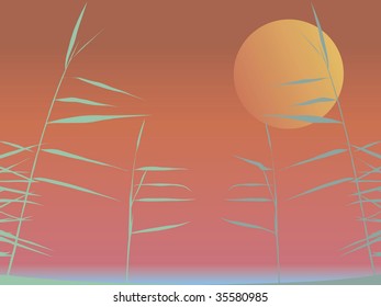 vector illustration of the reed