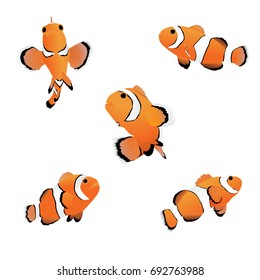 Vector Illustration Of Reef Fish, Clown Fish Or Anemone Fish On White Background.