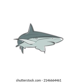 vector illustration of reef shark on a white background