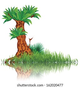 vector illustration of reflective tree and grass on water