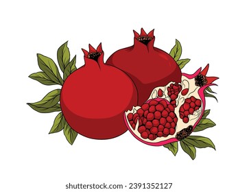 Vector illustration of a refreshing red pomegranate