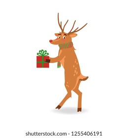 Vector illustration of reindeer with red nose and antlers in red and green striped scarf holding wrapped and decorated gift box in flat style isolated on white background.