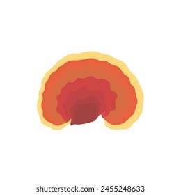 Vector illustration of Reishi Ganoderma lucidum mushroom set. Colored vector illustration of mushrooms on white background. Edible flat mushrooms. Perfect for recipe, menu, label, packaging.