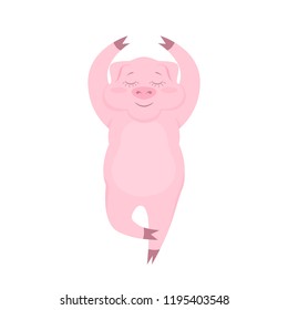 Vector illustration of a relax pig with close eyes in tree pose. Isolated on the white background.