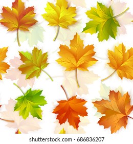 Vector illustration of a repeating pattern of maple autumn leaves on white background