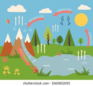 Vector illustration of representation of the water cycle in nature 
