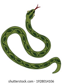 Vector illustration to reptiles snake type overhand