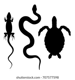 Vector illustration of reptiles top view silhouettes