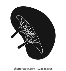 Vector illustration of research and laboratory sign. Collection of research and organ stock vector illustration.
