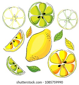 Vector and illustration resources of Citrus fruit, lemon, lime slices and seed in yellow and green color for Summer drink or kitchen concept