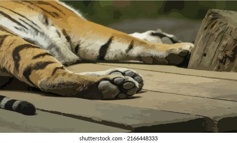 Vector illustration of a resting tiger. The main object is a view of a tiger's paw from below. Tiger, animal, wild animal, beast, predator.