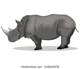 Vector illustration of rhino, rhinoceros standing side view isolated on white background, white rhino endangered big fauna