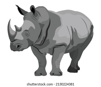 Vector illustration of rhino, rhinoceros standing side view isolated on white background, white rhino endangered big fauna