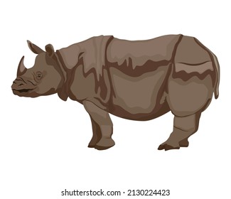 Vector illustration of rhino, rhinoceros standing side view isolated on white background, white rhino endangered big fauna