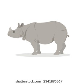 Vector illustration of rhino, rhinoceros standing side and front view isolated on white background, africa and asia rhino endangered big fauna