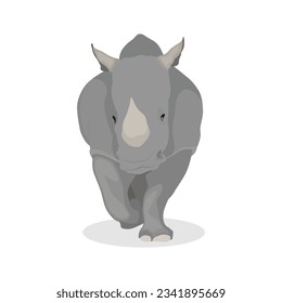 Vector illustration of rhino, rhinoceros standing side and front view isolated on white background, africa and asia rhino endangered big fauna