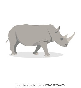 Vector illustration of rhino, rhinoceros standing side and front view isolated on white background, africa and asia rhino endangered big fauna