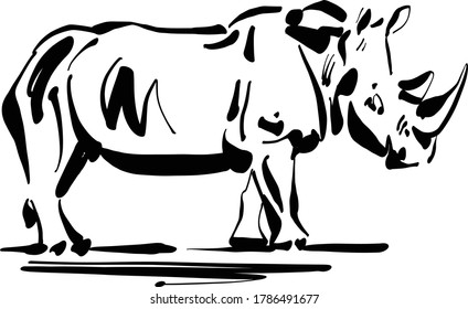 the vector illustration of the rhinoceros