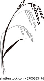 Vector illustration of rice ear.