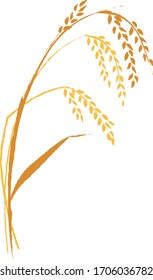 Ilustración vectorial del oído de arroz.