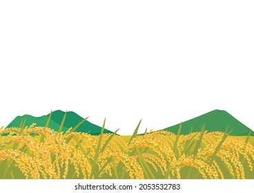 Vector illustration of rice farming landscape.Countryside landscape illustration