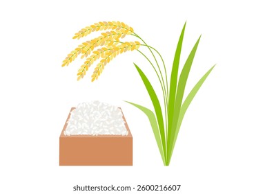 Vector illustration of rice grains and ears of rice. Simple and flat design. White background.
