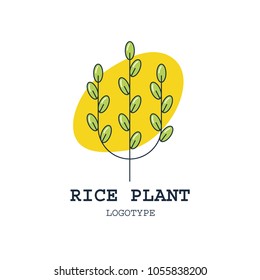 Vector illustration with rice inflorence in modern linear style. Logotype template. Rice plant.